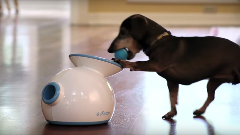 ifetch automatic ball launcher